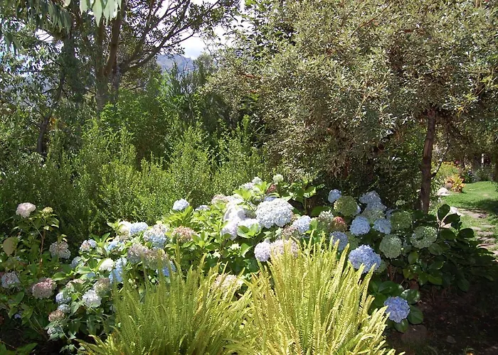 Perayoc Urubamba