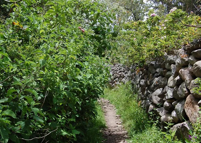 Perayoc